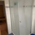 Elsternest *