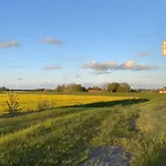 Elsternest