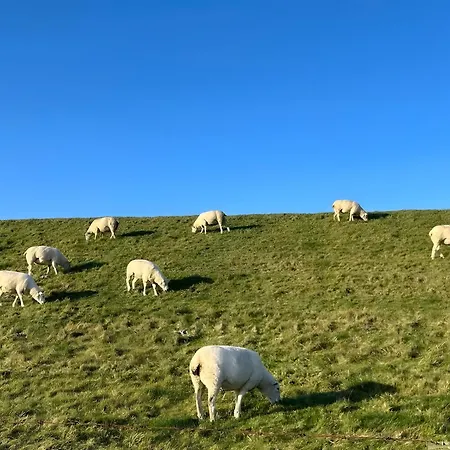 Apartment Elsternest Dornum