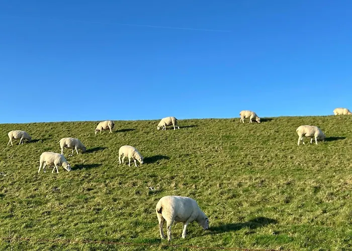 Elsternest Daire Dornum